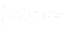 citycar mercedes bari logo mobile